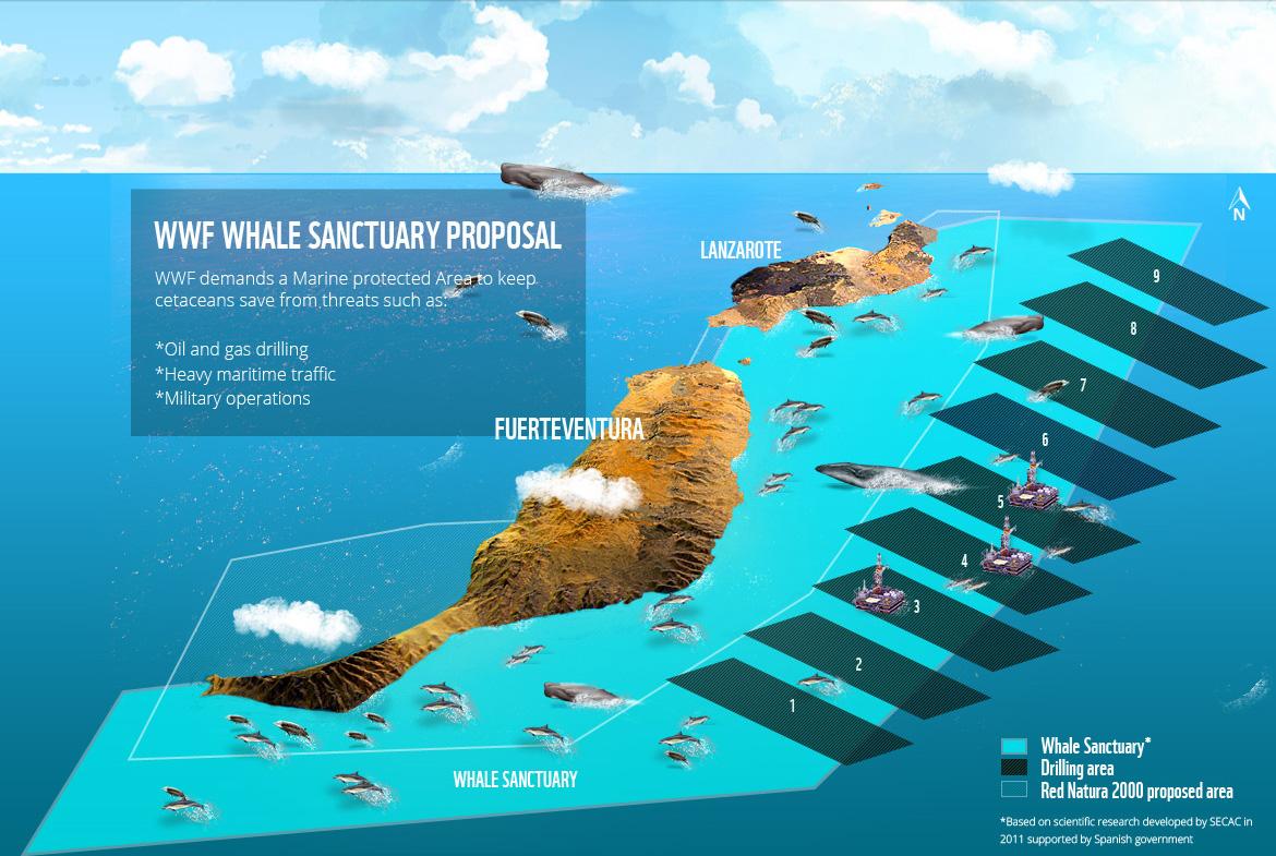 WWF's tweet photo. #WhaleSanctuary: Sign now http://t.co/4Selt3gd1n to help protect cetaceans. http://t.co/p3SjboGaew
