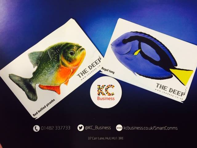 KCOMBusiness tweet picture