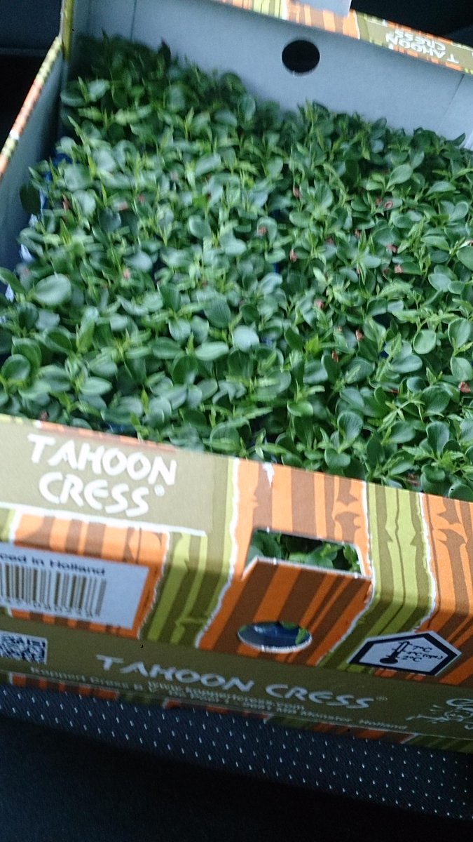 krismsd's tweet photo. @koppertcress @ericmiete  thanks for the cresses! I Will make something beautifull with it #regiowedstrijden bakery http://t.co/fEEABL4ODO