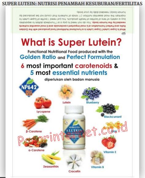 Obat mata minus Toko Herbal Terpercaya Obat mata minus Toko Herbal Terpercaya