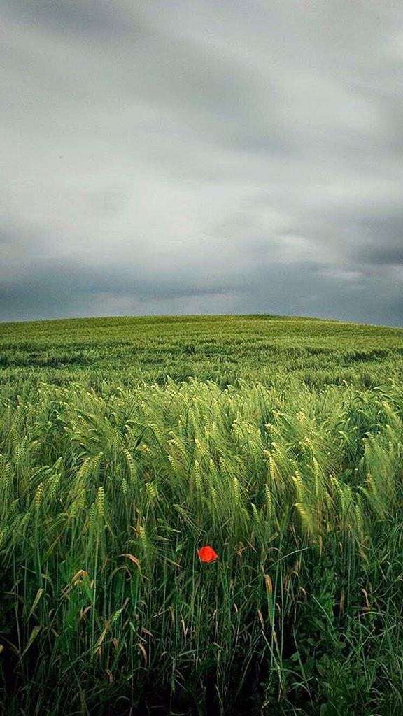 أعطني جرحي..
وخذ ما تبقّى من ذكريات