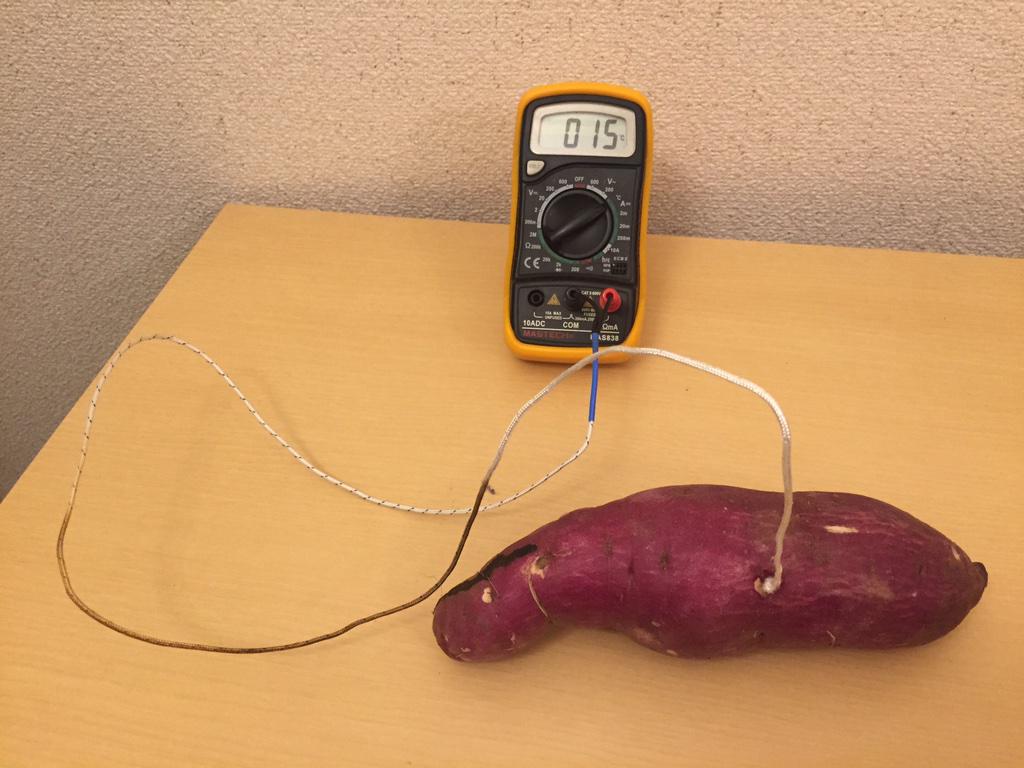 SteveKasuya2's tweet image. サツマイモに熱電対セット完了。何回かやってたら熱電対の被膜がボロボロになった。

芋って意外に寒いのね。室温は22℃で芋は15℃。待ってれば室温になるのかな？  #とらArduino #とらち工業
