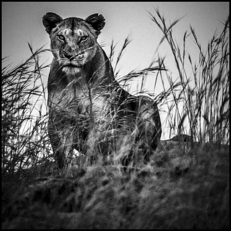 laurentbaheux's tweet photo. Your dream doesn't have an expiration date. Take a deep breath and try again ~ Kathy Witten http://t.co/A36IJgOddY http://t.co/j5hR8qcBdx