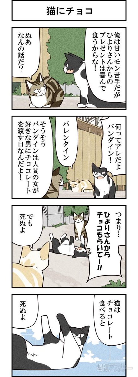 バレンタインネコ 週アスCOMIC「我々は猫である」第46回 - 週アスPLUS http://t.co/PiS4LAgrf5 