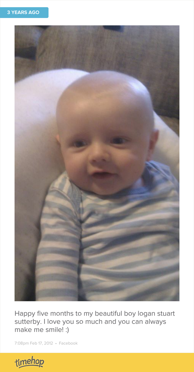 robSYDCYN's tweet photo. He was such a cheeky bugger! http://t.co/ARS5GgBYHG http://t.co/CifZkvGm6r