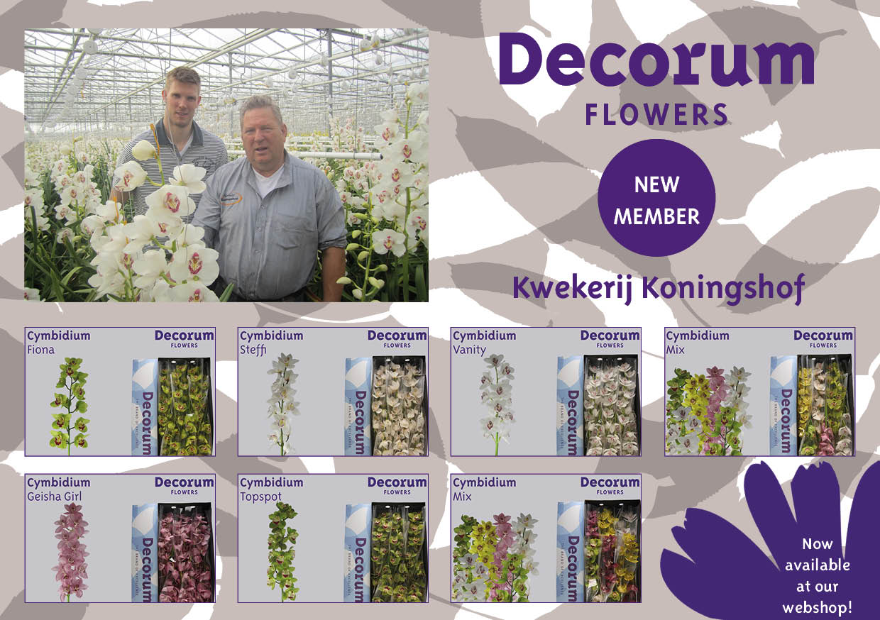 De Bloemenkrant Jan Boer Vertrekt Bij Decorum 0 Replies 3 Retweets 2 Likes