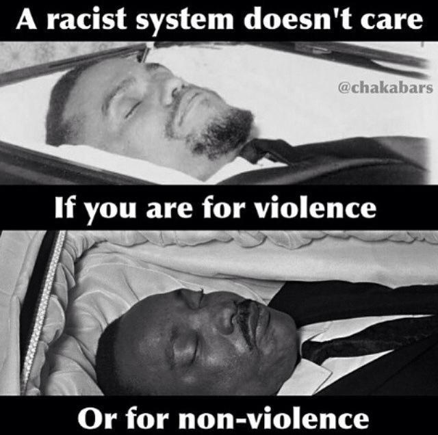 BlkHistStudies tweet picture