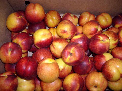 SecondHarvestCA's tweet image. #2ndHarvestTO has prevented more than 99 million lbs of food from going to waste.
secondharvest.ca