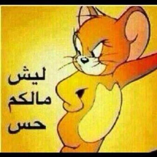 3079b3c2d2bd48a's tweet photo. هلا وينكوم زماااااااان ما شفتكوم 😴😴😴#عم #نياجه #راحه #💖 #غير #ابوظبي #الكاش #الجادين # http://t.co/Xn9RJDMyAk