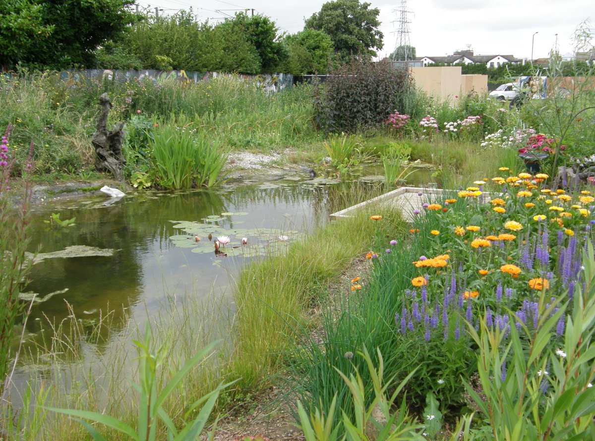 Buzz_dont_tweet's tweet photo. Accessible green space is good for psychological well being #actfornature http://t.co/gtGVn09WTl http://t.co/9rC5hUXT69