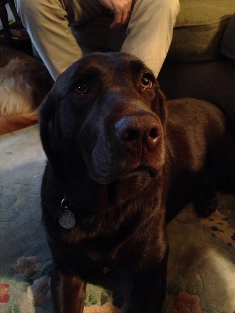 kvanliew17's tweet photo. Mug and Dug. @yourtake http://t.co/3etk7164V6