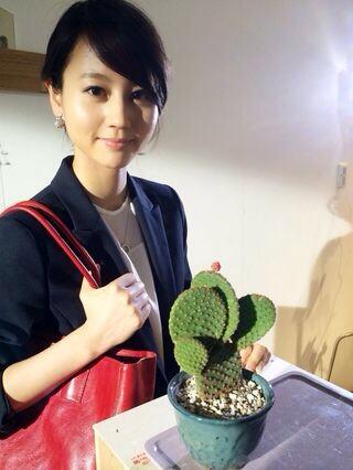 石原さとみ ローラ 堀北真希 (@ishiharasatomir) on Twitter photo 