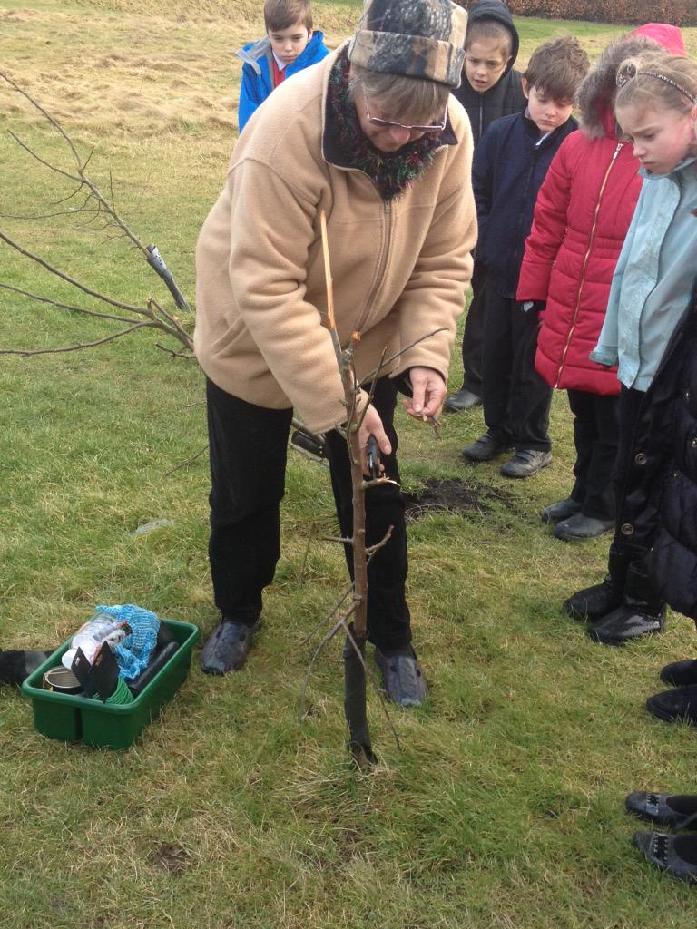 p65_boreps's tweet photo. Flashback. Looking after the school orchard. #p45memories http://t.co/xKrfC3isx0