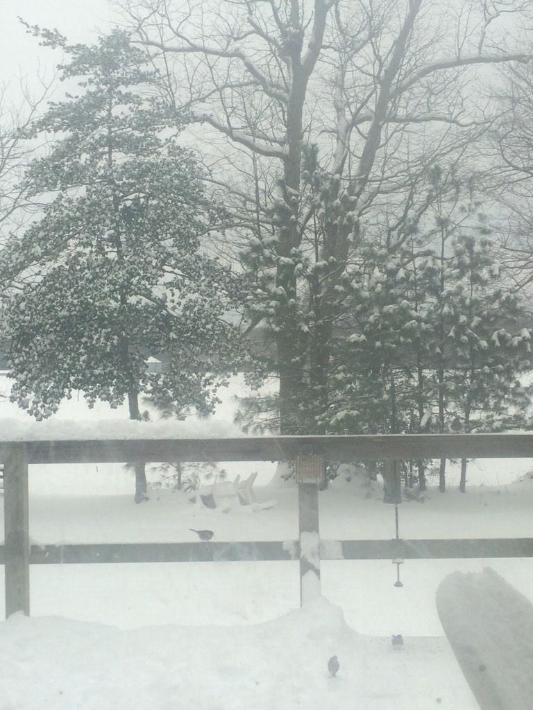 coastalmerritt's tweet photo. My kind of #SNOWWATCH in Dagsboro http://t.co/GNpbAcA2ZJ