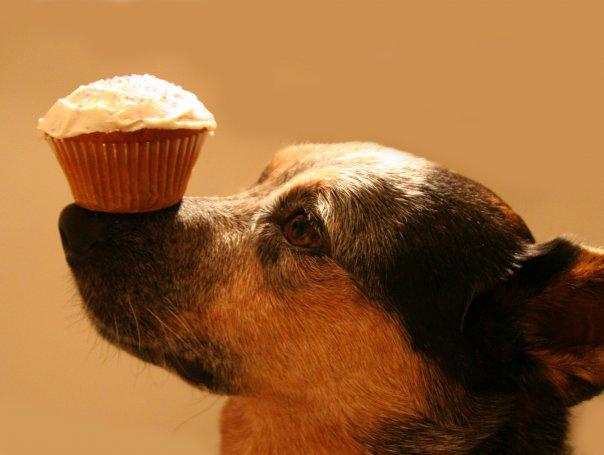 CupcakeDayCA's tweet photo. Less than 1 week to National #CupcakeDay! There is still lots of time to sign up &amp; save lives. http://t.co/85e17W3gYv http://t.co/QS9AEfVzxX