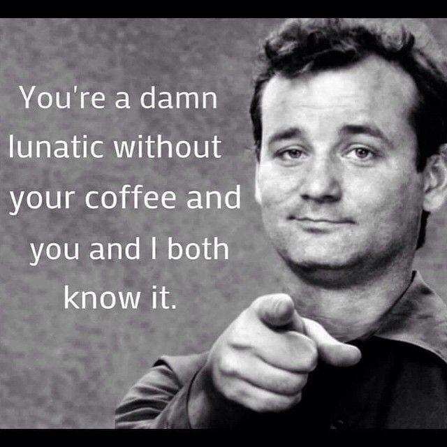 Meegan Hodges (@knightmeegan) on Twitter photo 