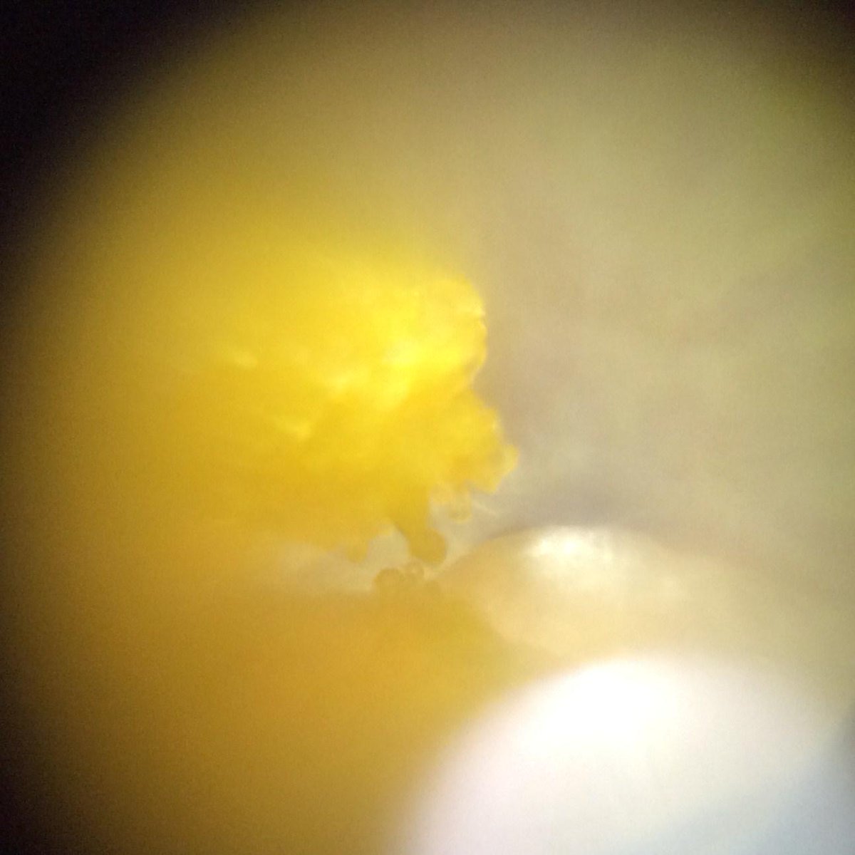 FoldscopeATX tweet picture
