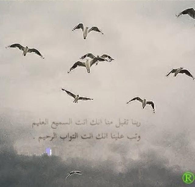 GdrK2065 tweet picture