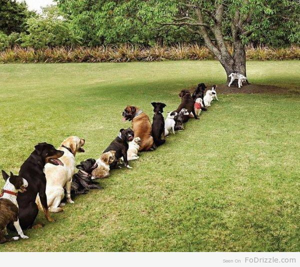 FastPassNow's tweet image. Don't wait in line, get a time with #FastPassNow! #TechYeah #TechtoTable #Mobile