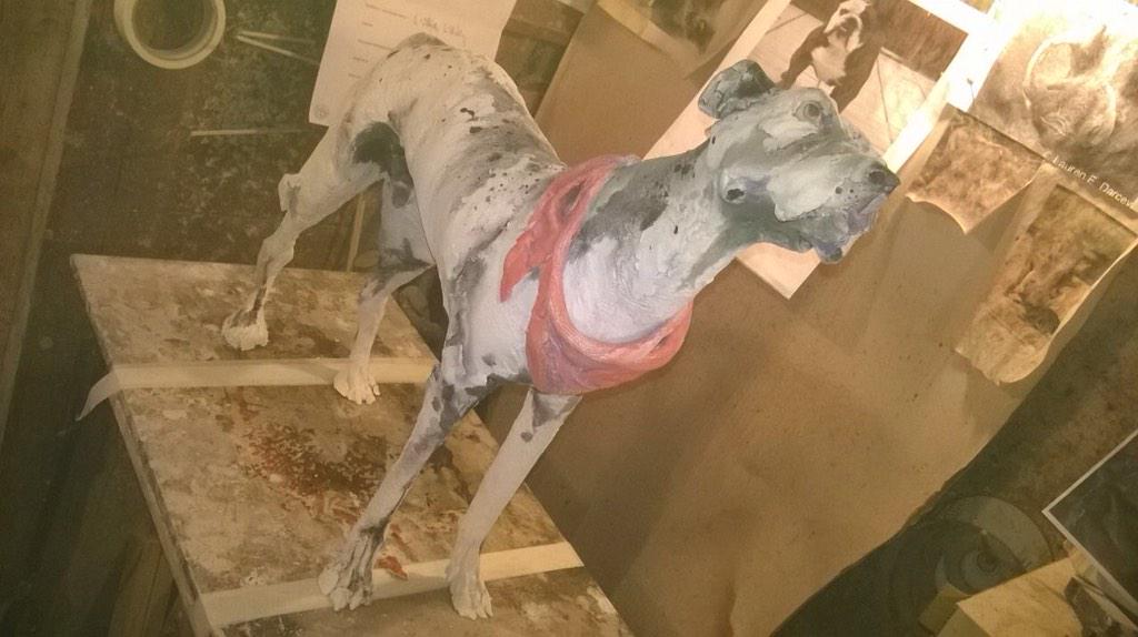 queequeg2's tweet photo. Rufus our Lurcher shipped all the way to Spain in an animal rescue van http://t.co/NCMVihGtlG