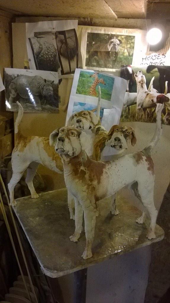 queequeg2's tweet photo. The O&amp;P hounds are back for The Fenwick Gallery http://t.co/w8VMusiXsh