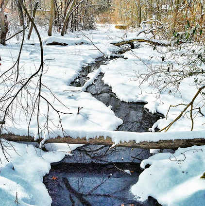 WHYYnewsNJ's tweet photo. Snow day in Deptford, NJ. Pic by Sean Sullivan http://t.co/P8bcjkcHIG http://t.co/CulSsn3Tvp