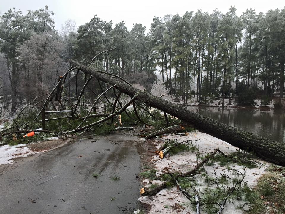 SCBG will not be opened today, Tuesday, 2/17, due to the dangerous and icy conditions. Stay tuned for updates