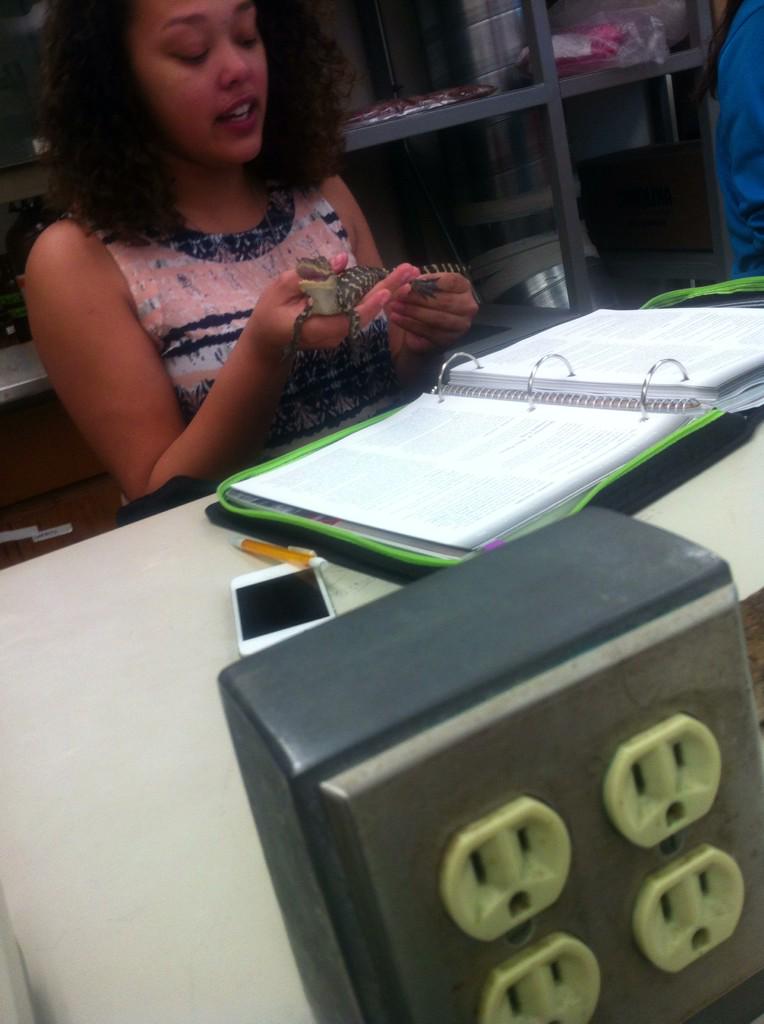 YanaTheAlien's tweet image. #LabFlow