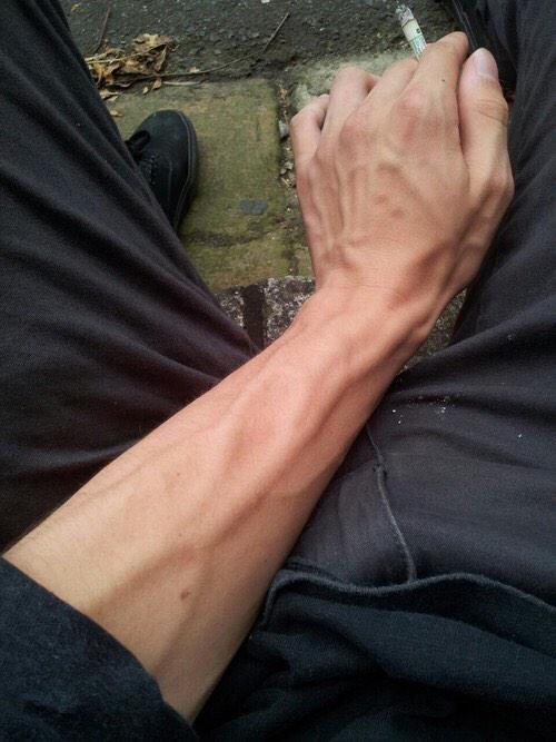 RT YOUR CRUSH on X: "Veiny arms appreciation tweet http://t.co/lKvxRcASp2"  / X