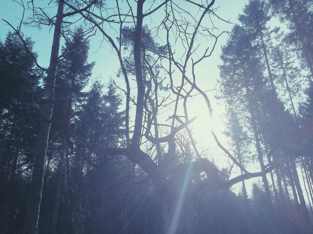 Zin in de #lente #photography