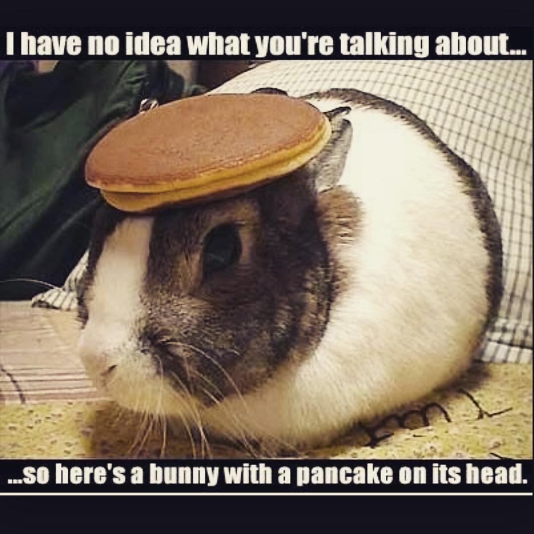 DebsGuru's tweet photo. People talking about study and exams and i'm here like.......#debsguru #PancakeDay #FatTuesday #leavingcert #midterm http://t.co/s6z4b0AJpj
