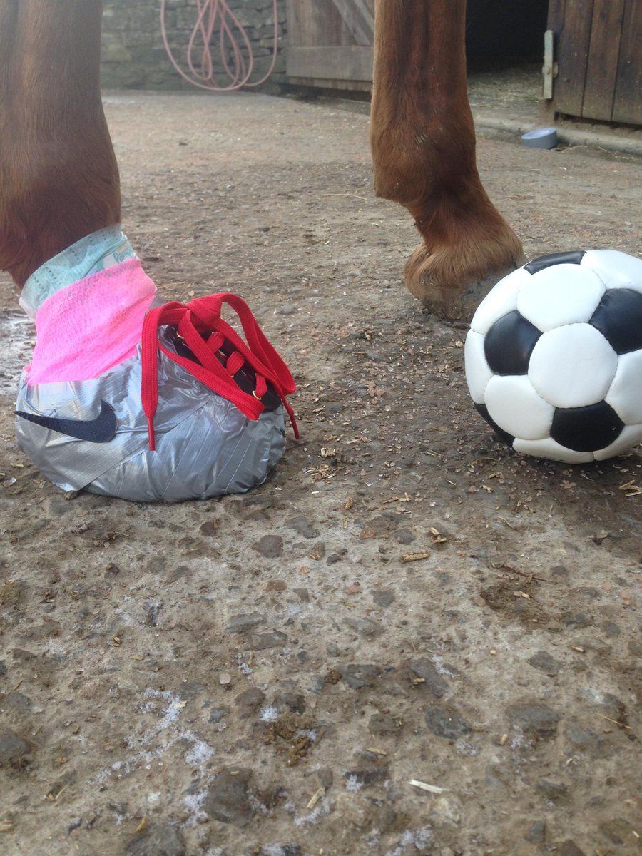 horseandhound's tweet photo. Poulticing just got jazzy http://t.co/yM2HbBQ8aK http://t.co/bBUm2q60NC http://t.co/5A3U0LIOeX #poulticefun http://t.co/kXj5pIof3J