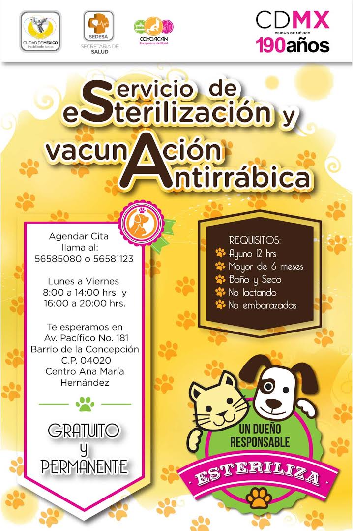 servicio gratuito de citas para adultos en el lugar