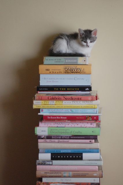 cojeffcolibrary's tweet image. #humpdayhelp
Poor baby got himself stuck twenty stories up!