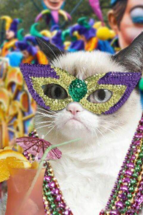 Ladywoodyou's tweet photo. #FatTuesday #datpussytho http://t.co/UaOYaRGlLC