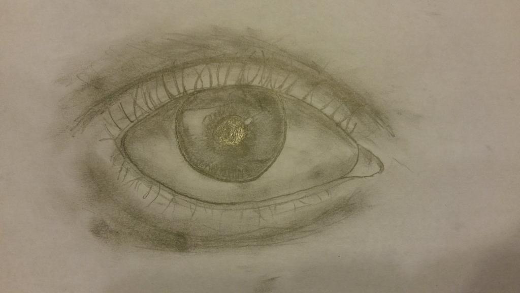 Wow! I think the best eye I've ever drawn! #eye #sketch #pictures #doodles #drawing