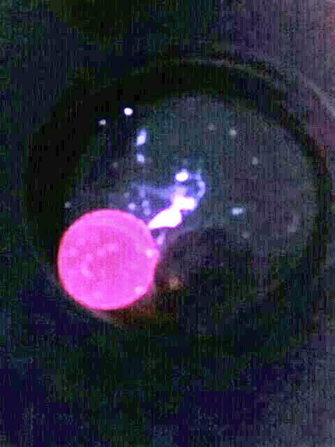 RareHinata's tweet photo. Making glowing bouncy balls *^*)/) http://t.co/oWKekKGLxp