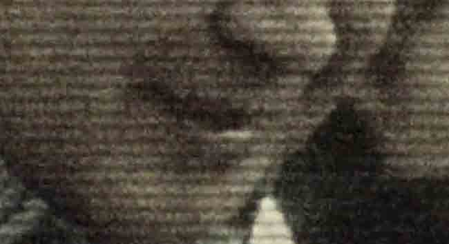 Selamat pagi!! Mooseo 'Punk Percontohan' majalahcobra.com/blog/mooseo-pu…