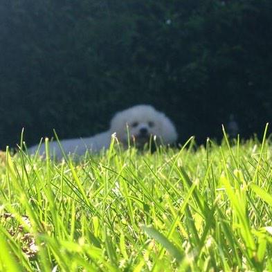 GeorgiaKears's tweet image. Taras studying the wrong subject 🙀😮#wow #muchskill spot the difference