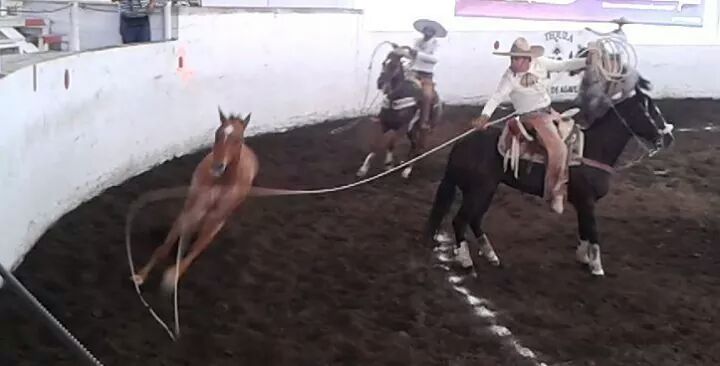 JuanjoTools's tweet photo. #EsDeMexicanos Continuar con nuestras tradiciones. Mi deporte. Mi pasión http://t.co/LB9C1S5Icf