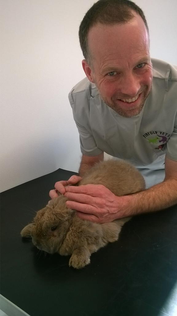 Here's Alfie the rabbit with Rupert. Alfie seemed quite happy hopping round, exploring our new consulting rooms....