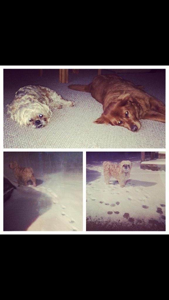 PatsSnowStick's tweet photo. Best buds forever? RT @AnneFjellheim: #snowus @patcollins4 @PatsSnowStick http://t.co/8q33dZ0NkW