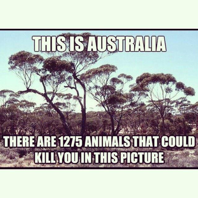 bwadd_'s tweet photo. #homesweethome #STRAYA #whereswaddy #onroute #shitgetswild http://t.co/9Ig43toI7b