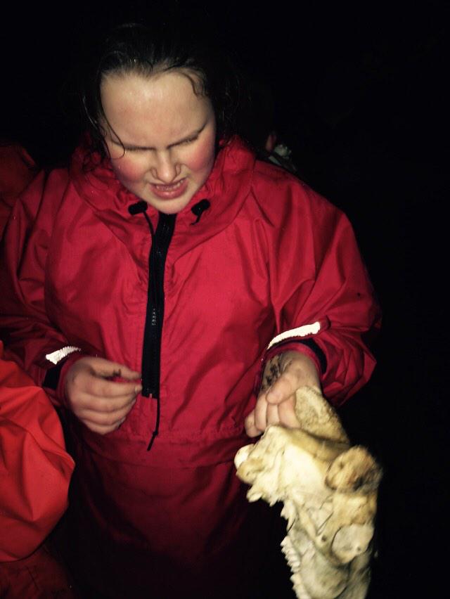 StSerfsAirdrie's tweet photo. What's this? Killer Sheep skulls?!?!?! #kilbowie2015 http://t.co/4NaylIoVX3