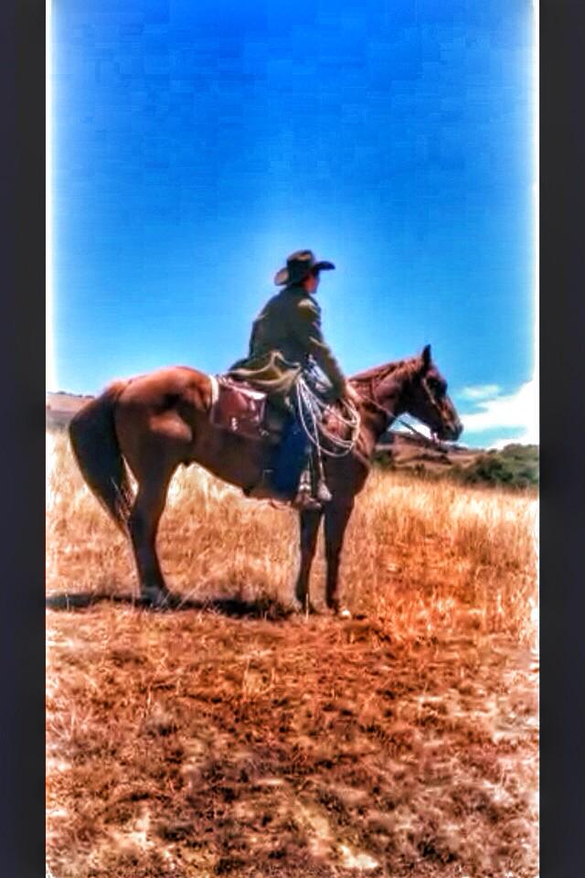 HiceElder's tweet image. Cowboyin' #HaveNotPostedInAwhile