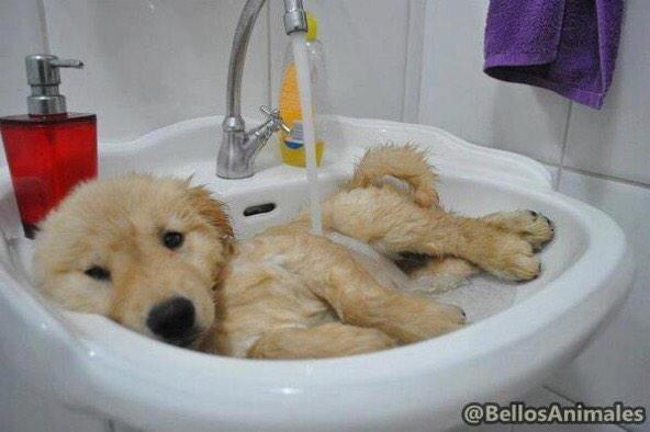 OraYReflexiona's tweet photo. Con este clima me baño muchas veces al día 😓 http://t.co/ZxeU18XZDy