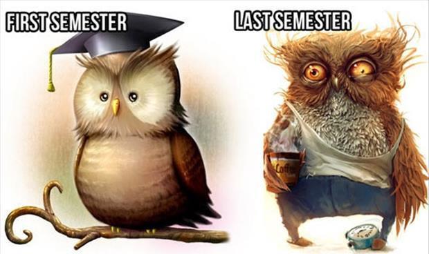 PayCollege.org (@paycollege) on Twitter photo 