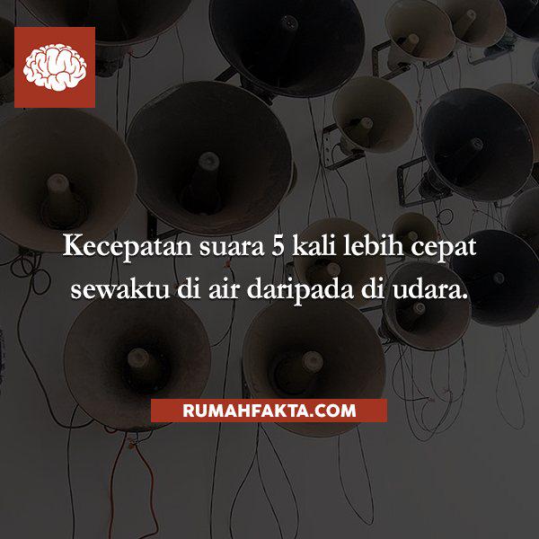 rumahfakta's tweet photo. Kecepatan suara 5 kali lebih cepat sewaktu di air daripada di udara. http://t.co/SLCXm3NmaC