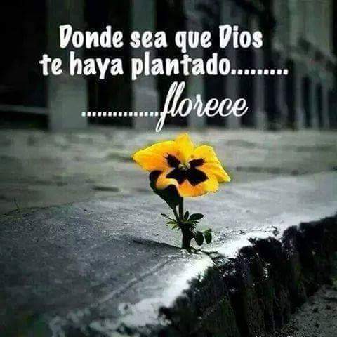 #Reflexión #BuenasNoches