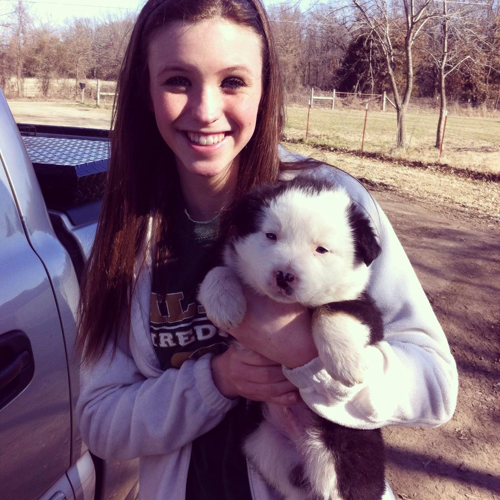 rlholloway's tweet photo. Lost puppy. Hwy 282/Gregory Chapel/Lancaster Area. http://t.co/FiR0WZt239